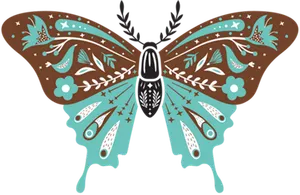 butterfly illustration